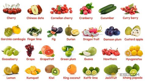 https://www.youjizz.com/most-popular/3.html|Most Popular Fruits In The World .